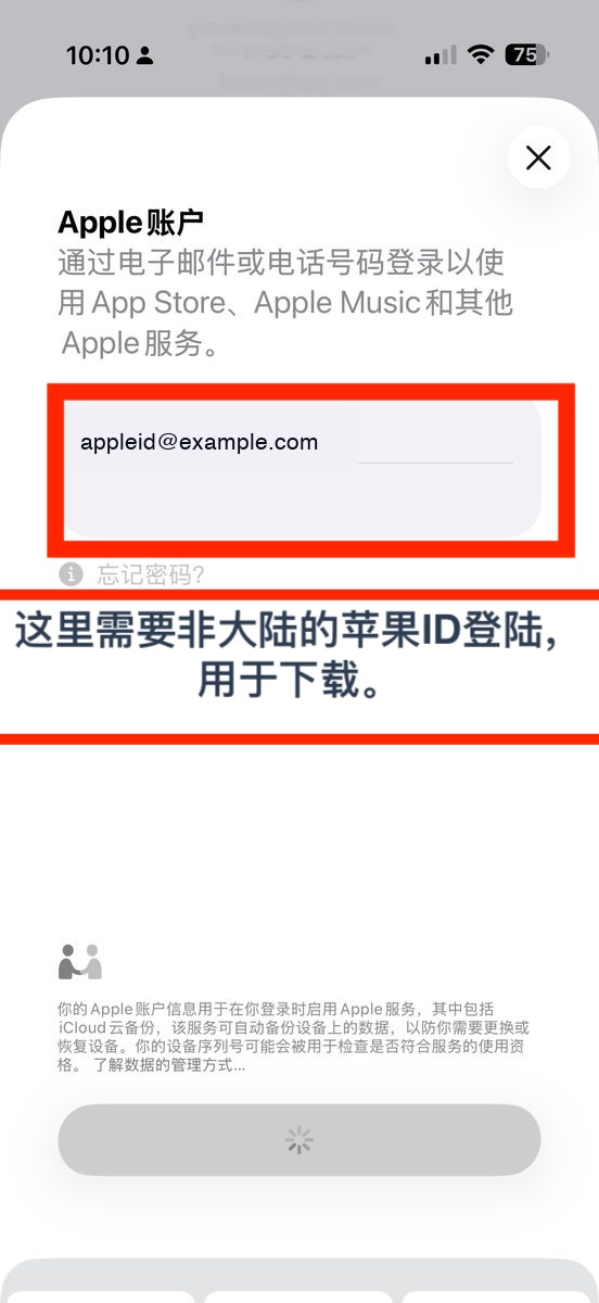 Apple 账户输入完成后继续登录